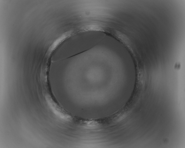 X0000112200395200909041322