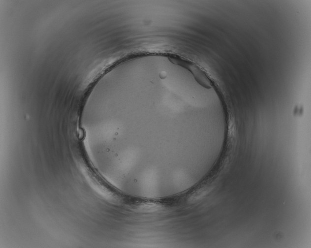 X0000112200397200909041322