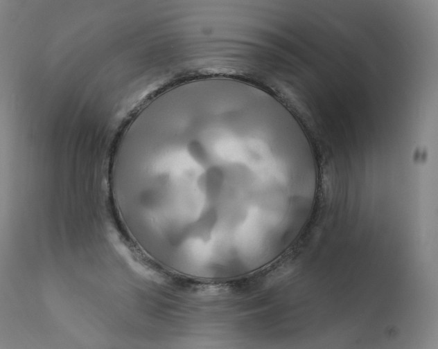 X0000112200398200909041322
