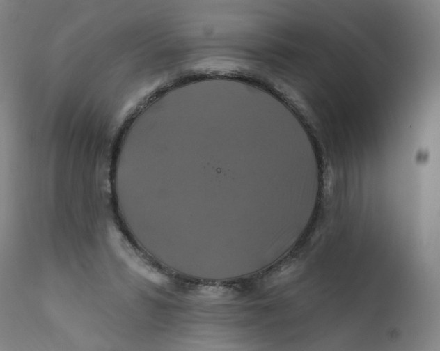 X0000112200399200909041322