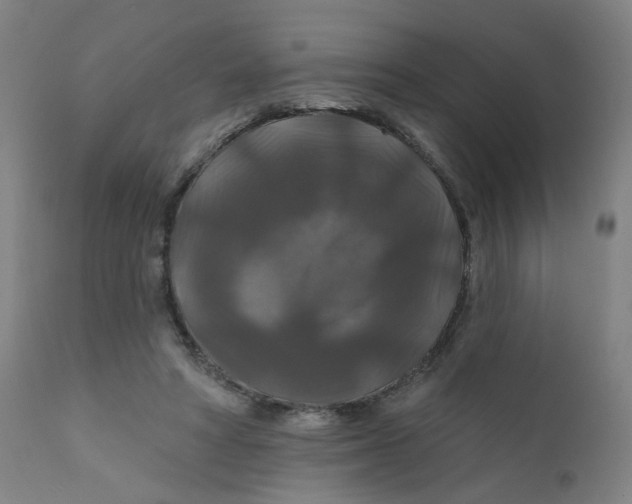 X0000112200402200909041322