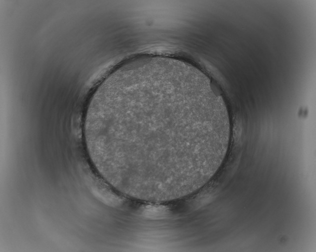 X0000112200403200909041322