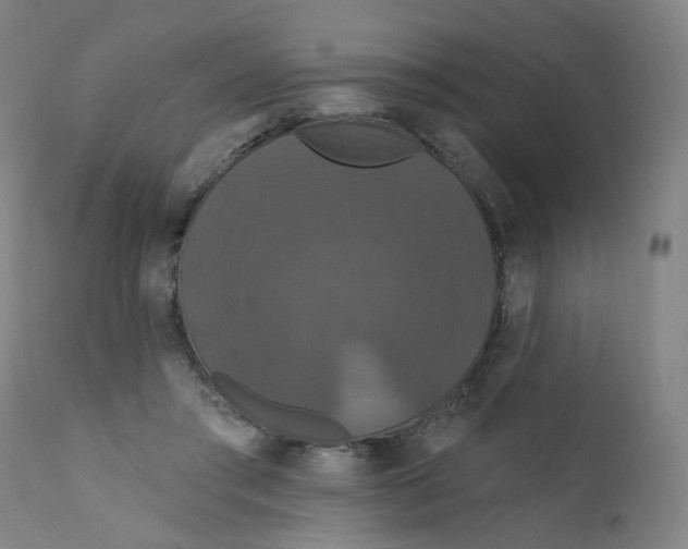X0000112200405200909041322