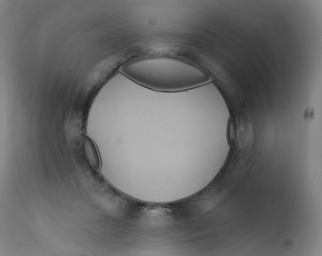 X0000112200407200909041322