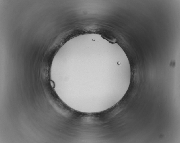 X0000112200408200909041322