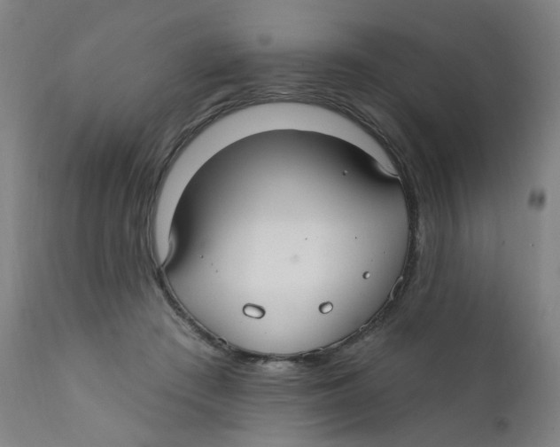 X0000112200409200909041322