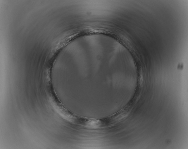X0000112200410200909041322