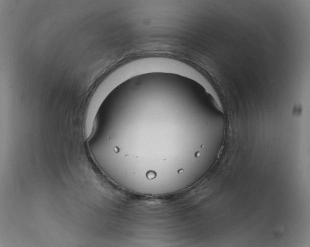 X0000112200411200909041322