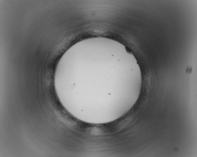 X0000112200412200909041322
