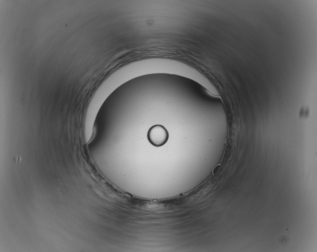 X0000112200413200909041322