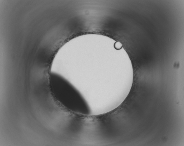 X0000112200415200909041322