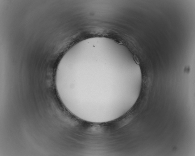 X0000112200416200909041322