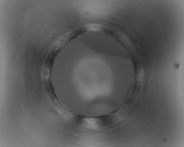 X0000112200417200909041322