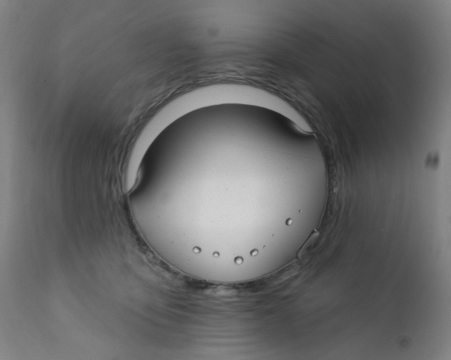 X0000112200419200909041322