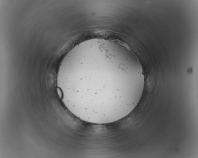 X0000112200424200909041322