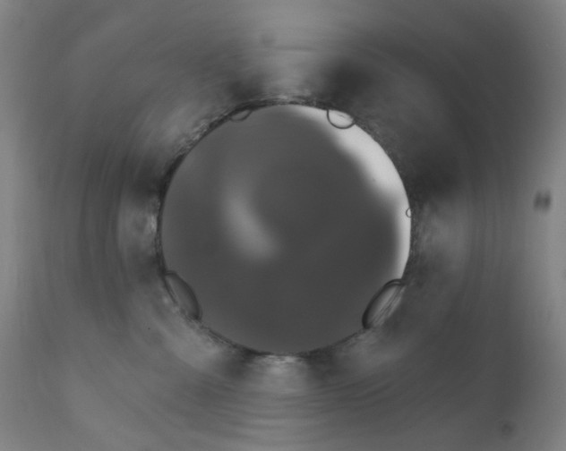 X0000112200427200909041322