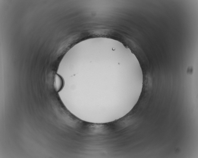 X0000112200428200909041322