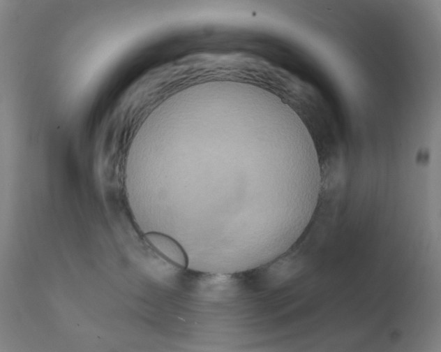 X0000112200431200909041321