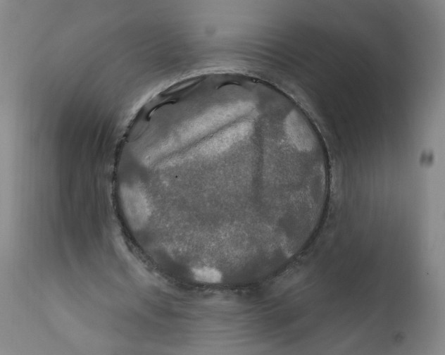 X0000112200434200909041321