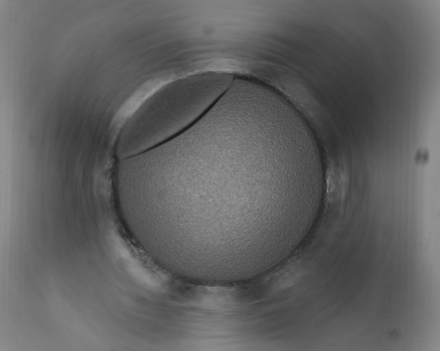 X0000112200436200909041321