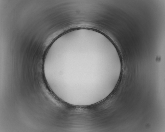 X0000112200437200909041321