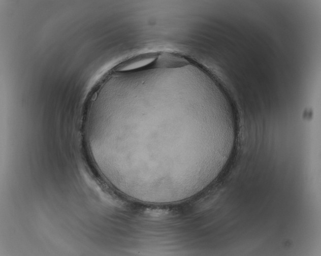 X0000112200440200909041321