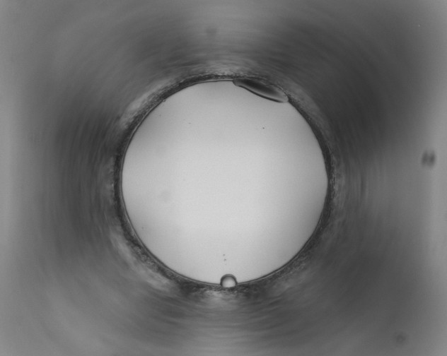 X0000112200442200909041321