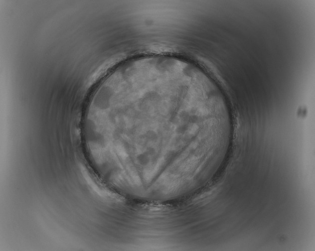 X0000112200443200909041321