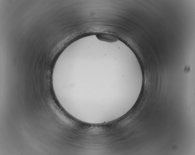X0000112200445200909041321