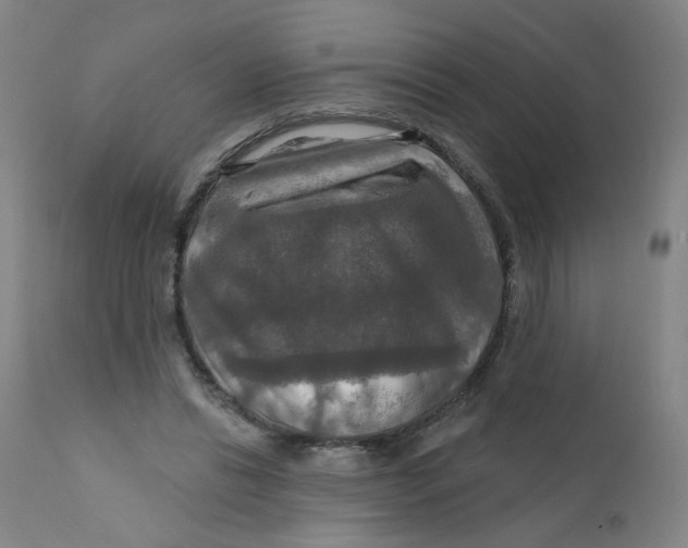 X0000112200446200909041321