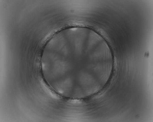 X0000112200449200909041321