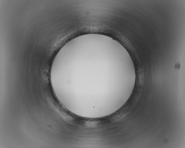 X0000112200450200909041321