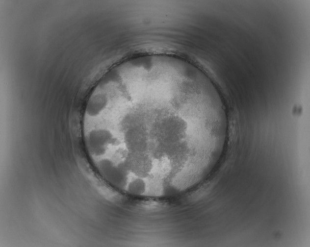 X0000112200453200909041321