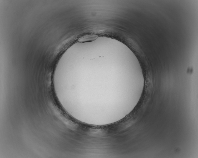 X0000112200454200909041321
