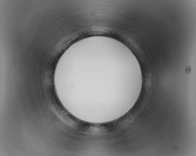 X0000112200455200909041321