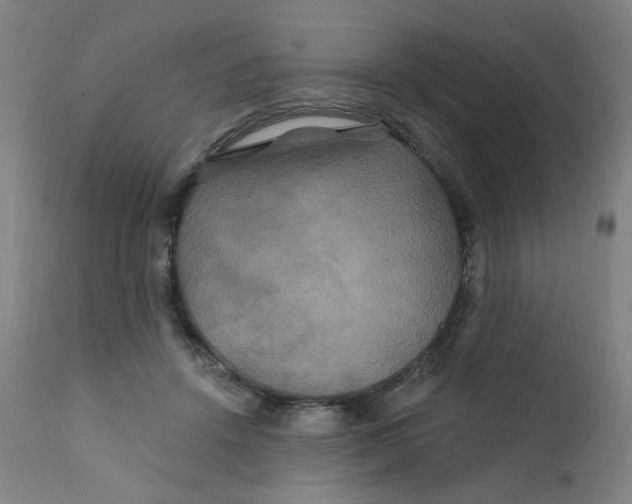 X0000112200456200909041321