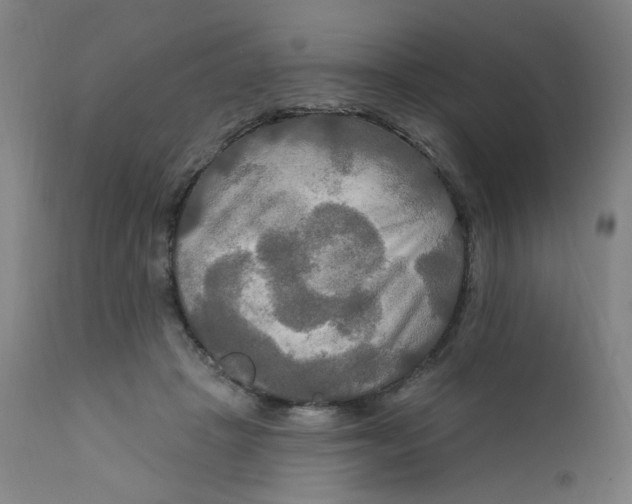 X0000112200457200909041321