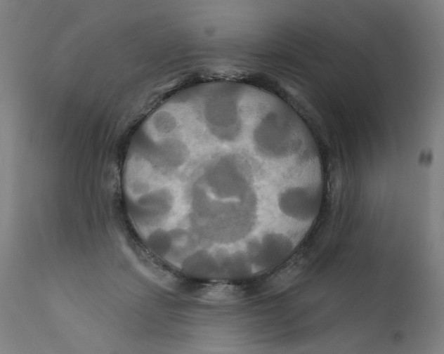 X0000112200459200909041321