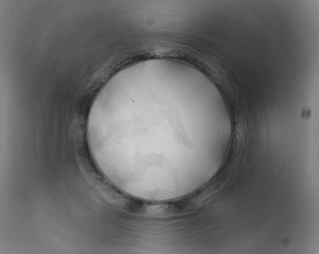 X0000112200461200909041321