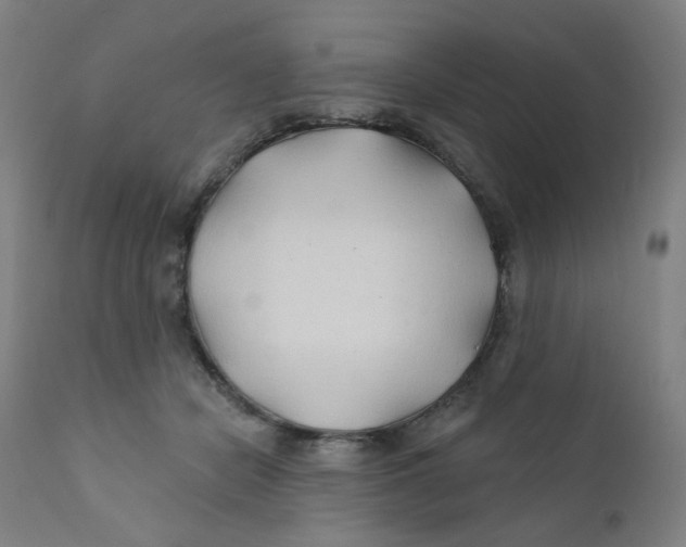 X0000112200462200909041321