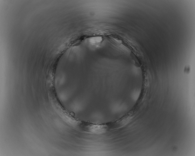 X0000112200465200909041321