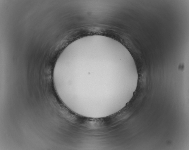 X0000112200466200909041321