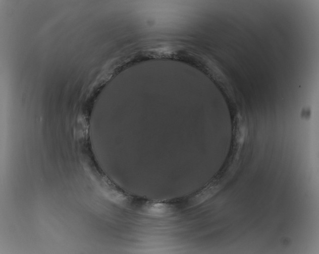 X0000112200467200909041321