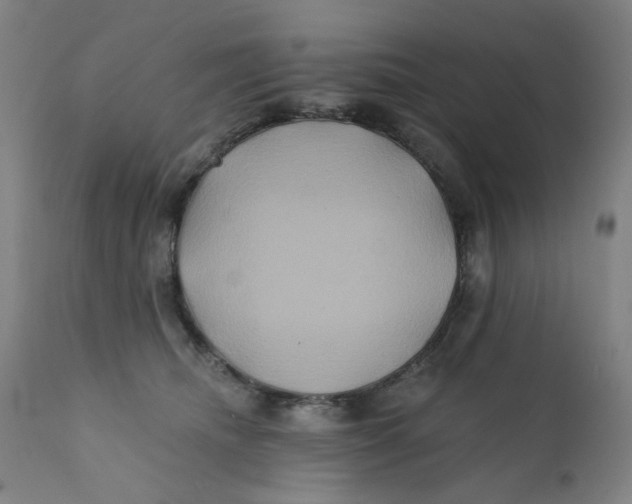 X0000112200468200909041321