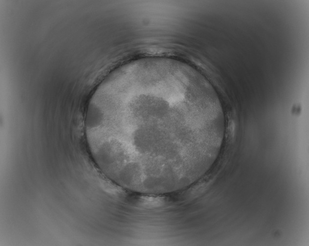 X0000112200469200909041321