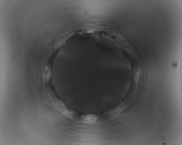 X0000112200471200909041321