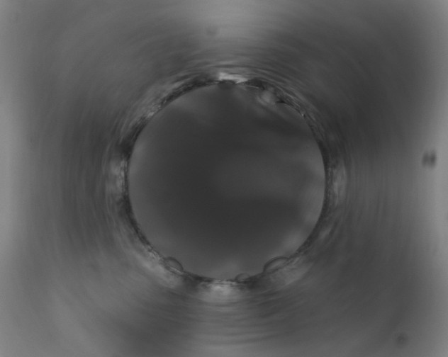 X0000112200475200909041321