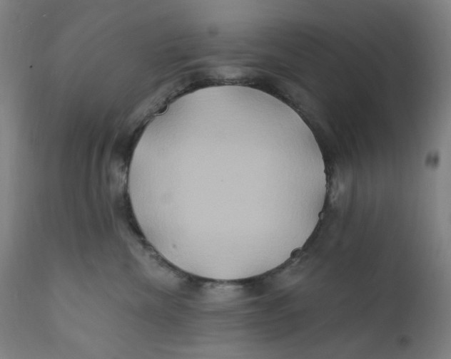 X0000112200476200909041321