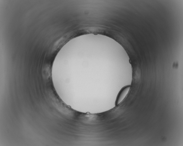 X0000112200478200909041321