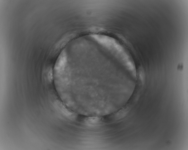 X0000112200479200909041321
